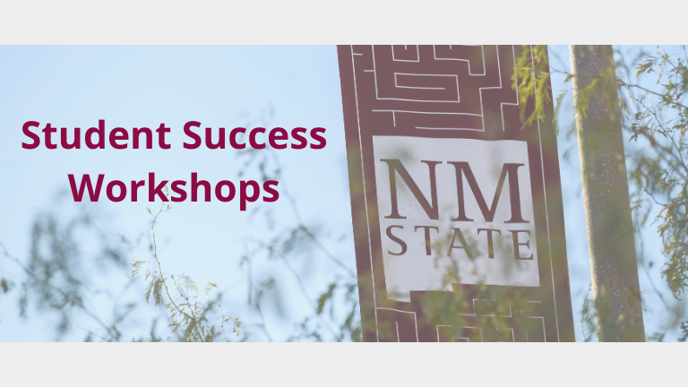 Student Success Workshops